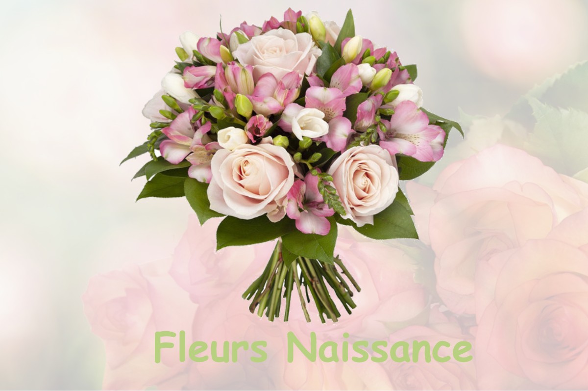 fleurs naissance OUILLY-DU-HOULEY